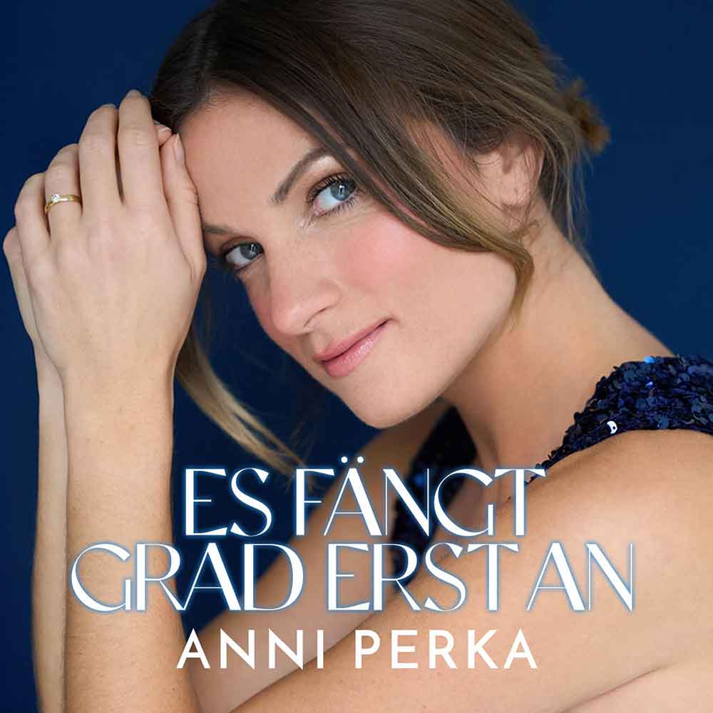 Es Fängt Grad Erst An Anni Perka Front-Cover